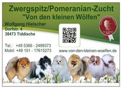 visite-vorne-qr-code-1